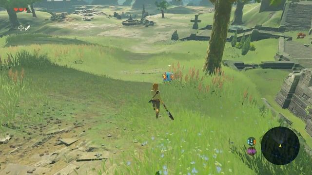 The Legend of Zelda - Breath of the Wild - проблема с тенями на AMD картах как решить???