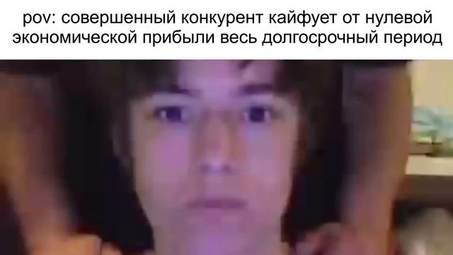 Жизнь среднестатистического олимпиадника-экономиста состоит из