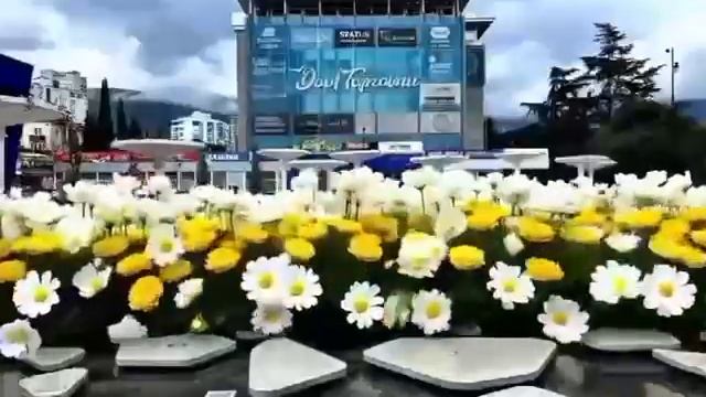 Весенняя красавица Ялта