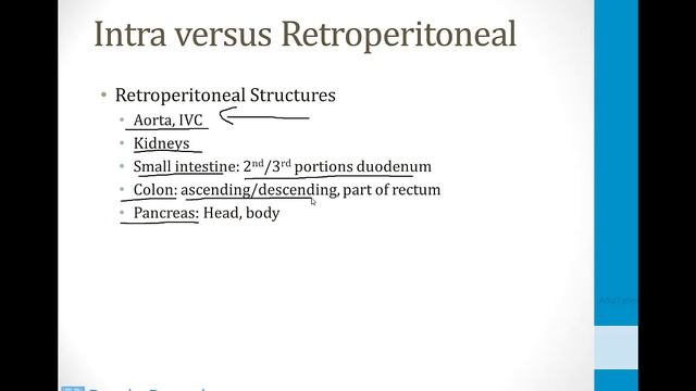 Gastroenterology - 1. Anatomy - 2.Gastrointestinal Anatomy atf