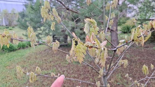 Уезжаем. Пробежка по закоулкам))). У Миши последний звонок)))