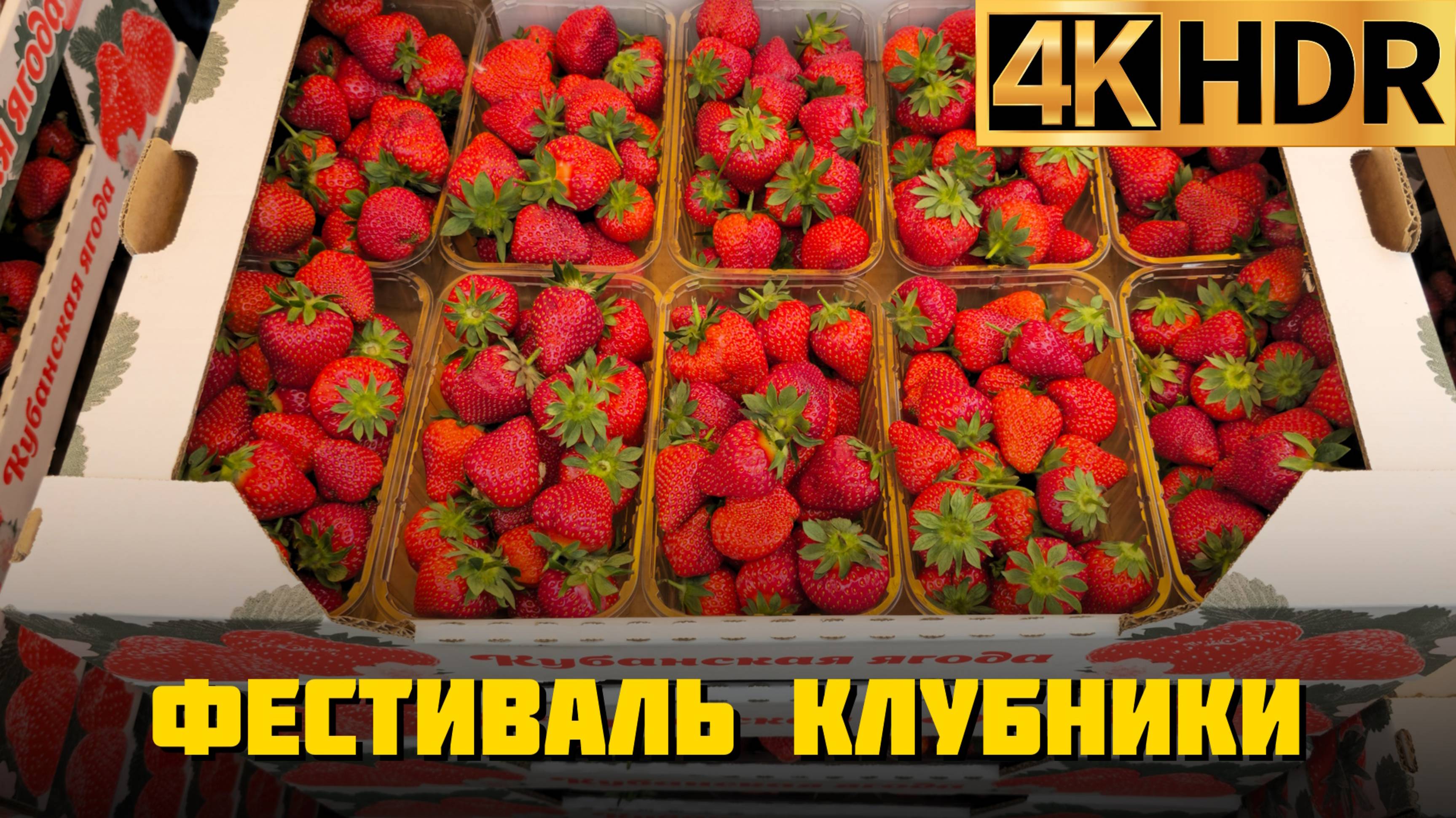 Фестиваль Клубники 2025 в Краснодаре