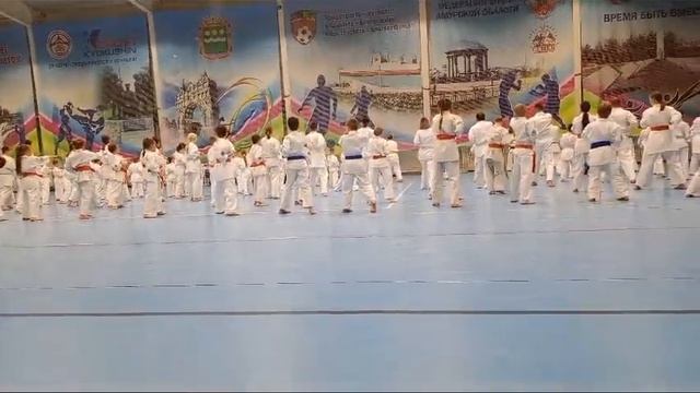 сдача на пояса по карате киокушинкай
