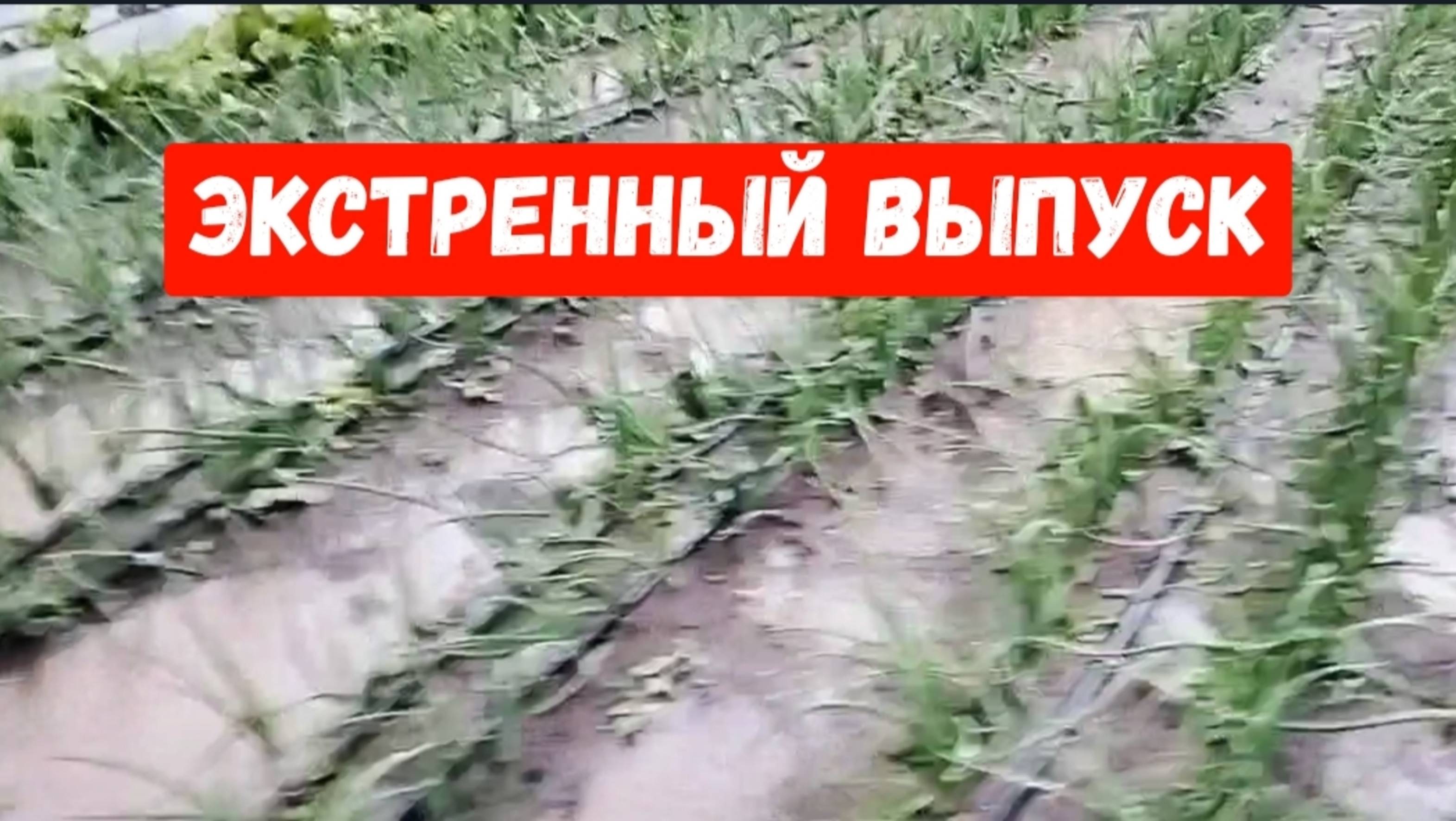 Экстренный выпуск/19 мая/Нас затопило
