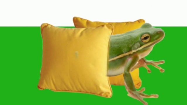 лягушка подушка из кабанчик туканчик