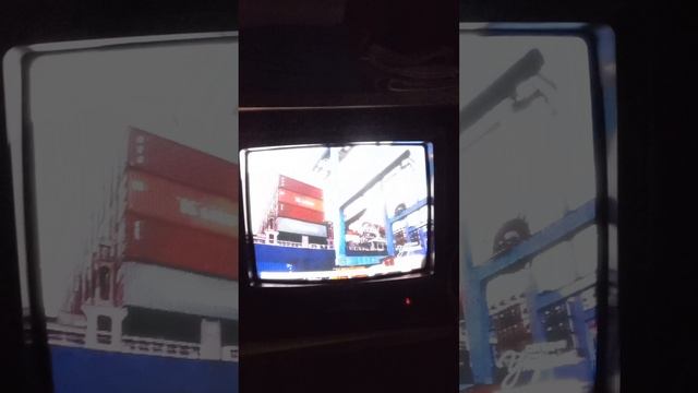 145.mp4