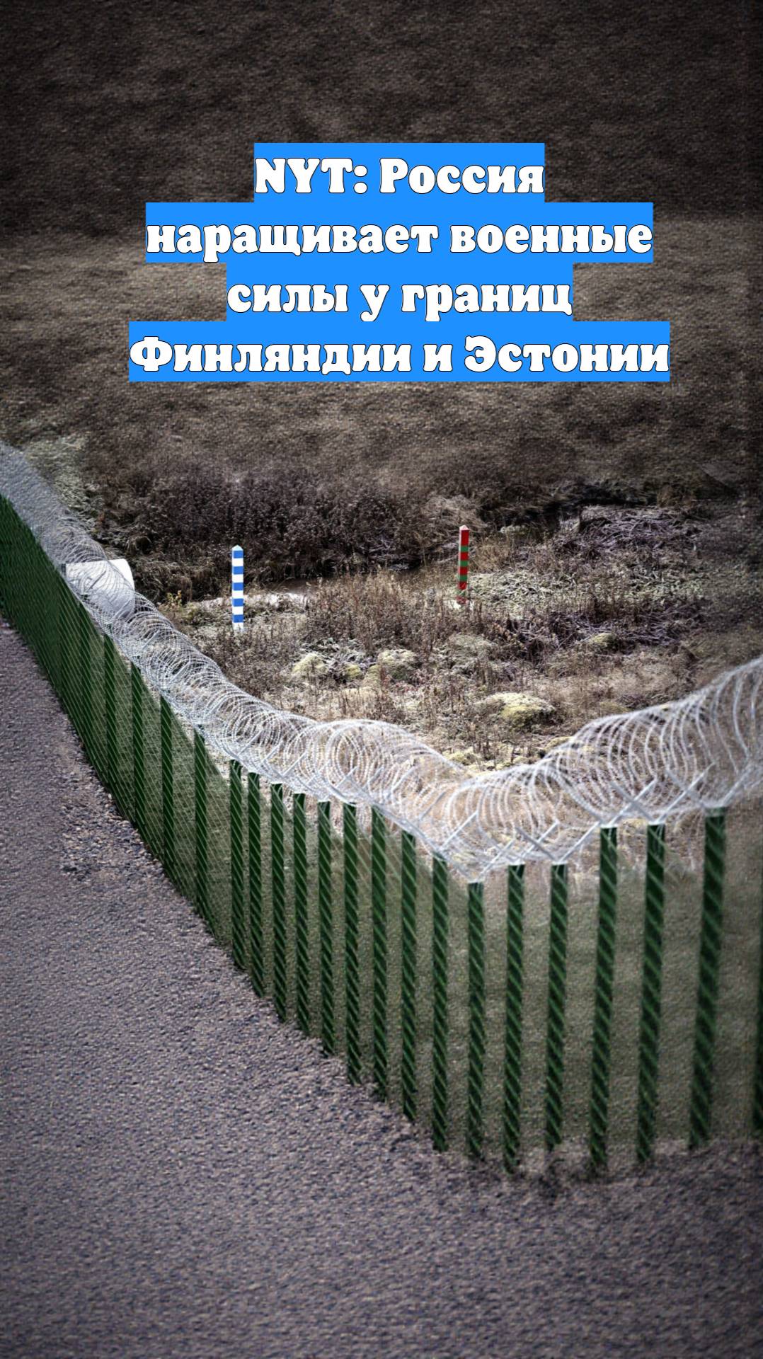 NYT: Россия наращивает военные силы у границ Финляндии и Эстонии