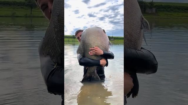 Огромная рыба