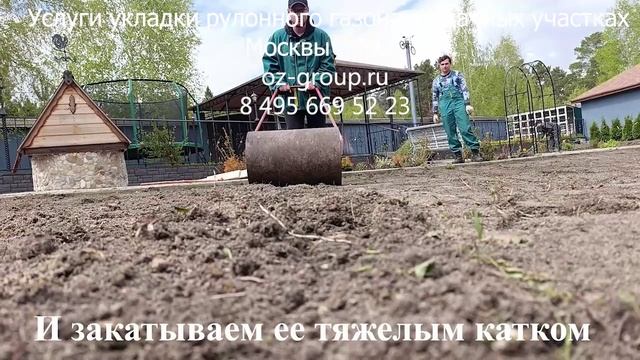 Устройство рулонного газона на участке. Работы выполняют агрономы. Звоните!