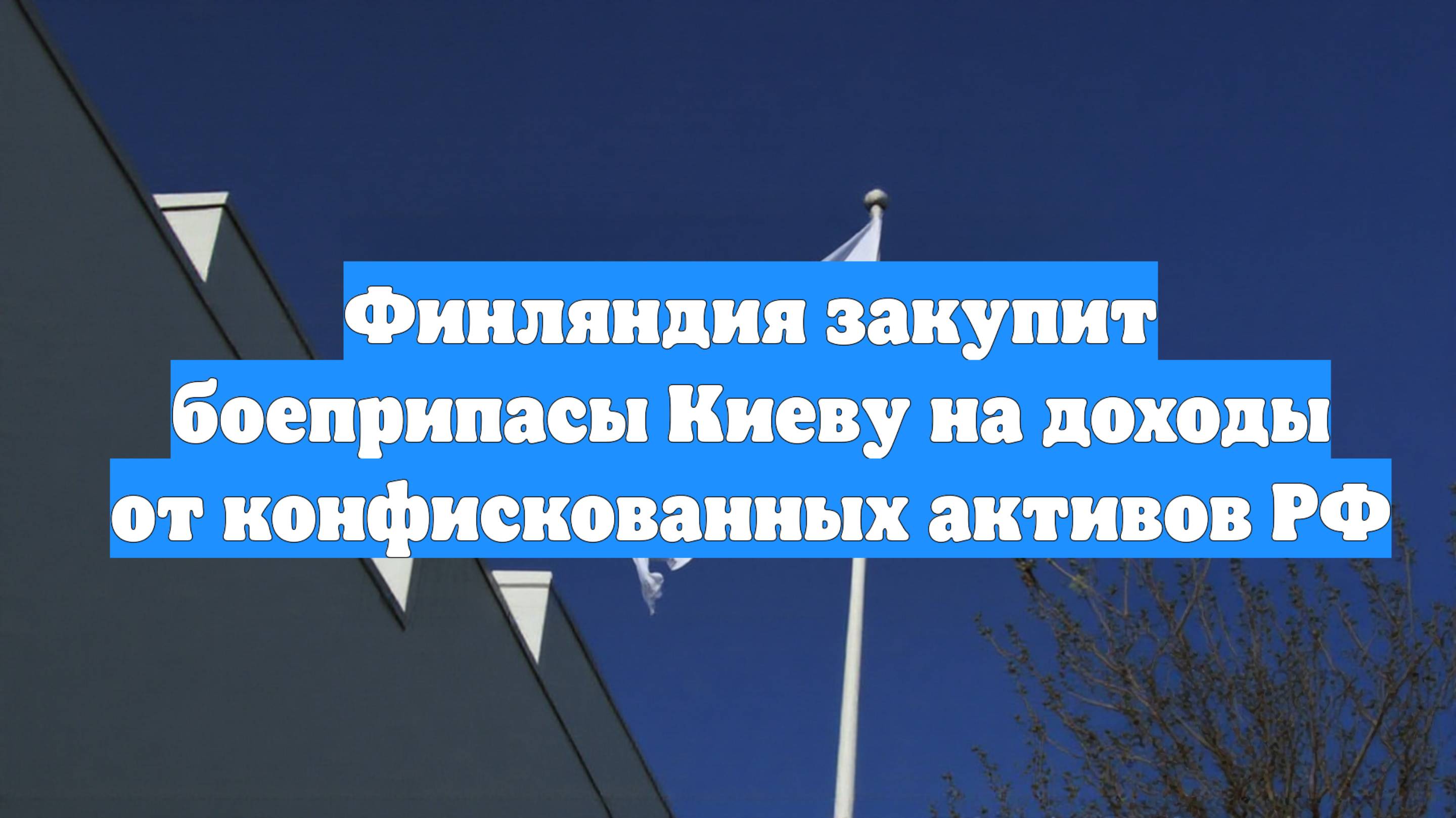 Финляндия закупит боеприпасы Киеву на доходы от конфискованных активов РФ