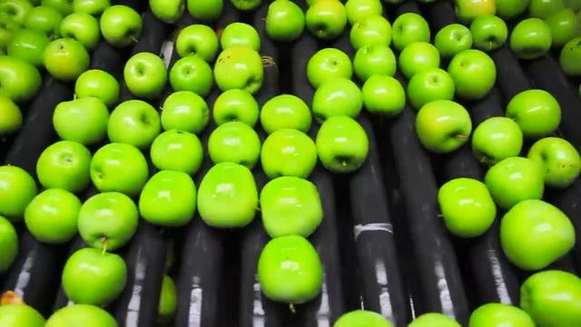 Блиппи (Blippi) - Блиппи на яблочной фабрике Блиппи на Русском Изучай этот Мир вместе с Блиппи