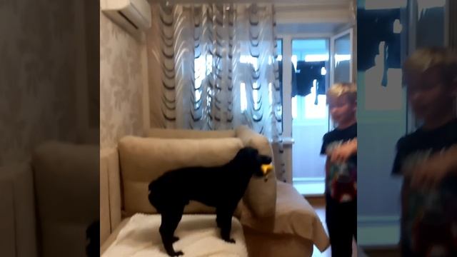 домик из подушек