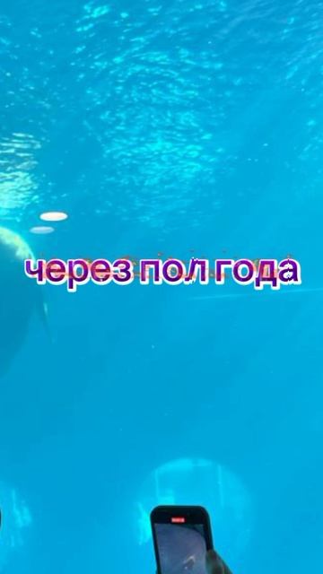 Барби и Кен_____семья____'дети____жизнь