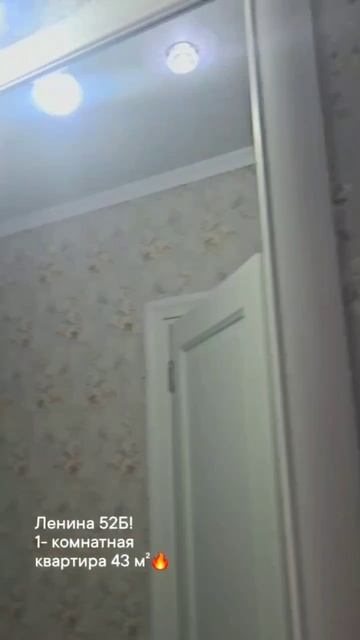 11945404