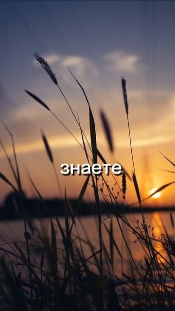 📣Слушайте аудиокнигу "Трансерфинг себя" - Вадим Зеланд 📣 #аудиокниги #трансерфинг