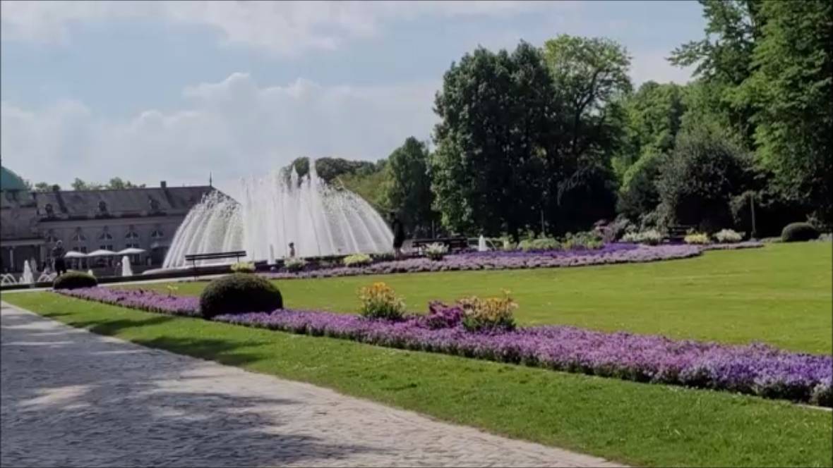 Клумбы в парке…
