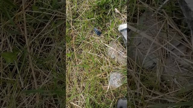 VID_20250519_125624.mp4