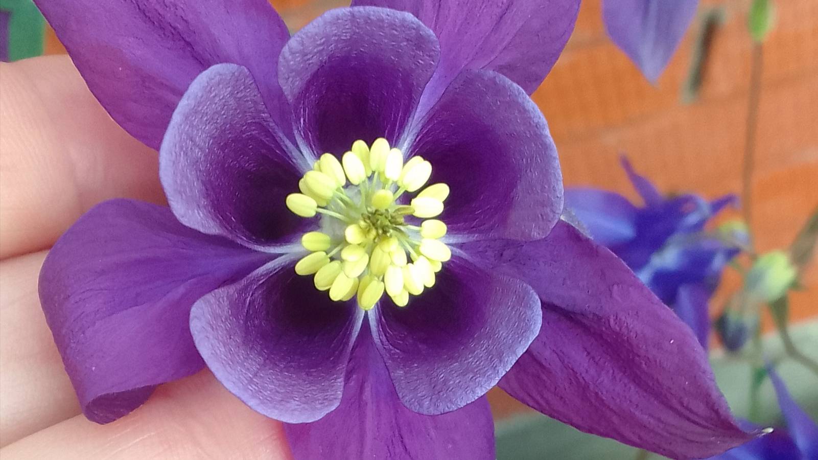 Знакомство. О чем мой канал.