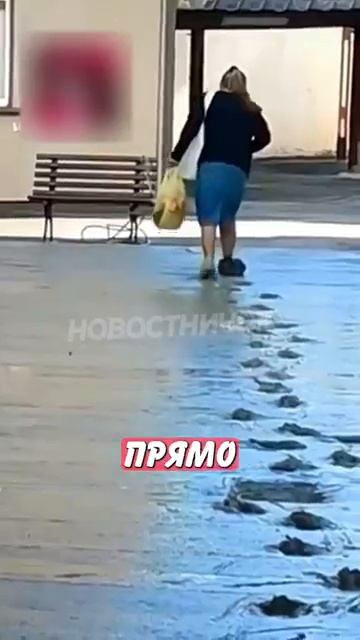Новостничок (202)