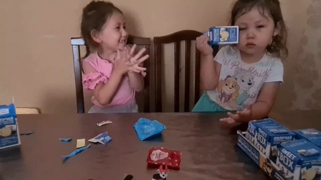Открываем Бокс "Щенячий патруль" . Часть 2