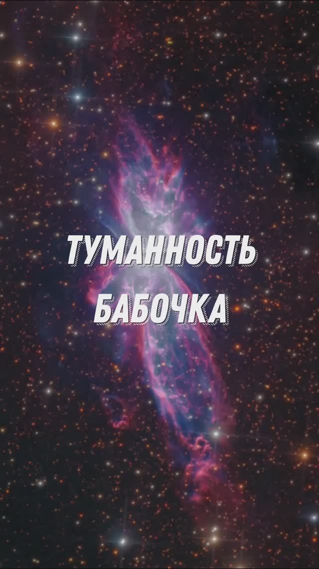 NGS 6302 | ТУМАННОСТЬ БАБОЧКА #shorts