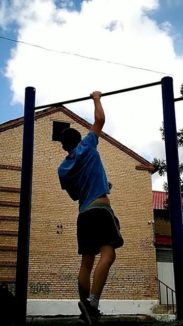 2 one arm pull ups, chest to bar pull up