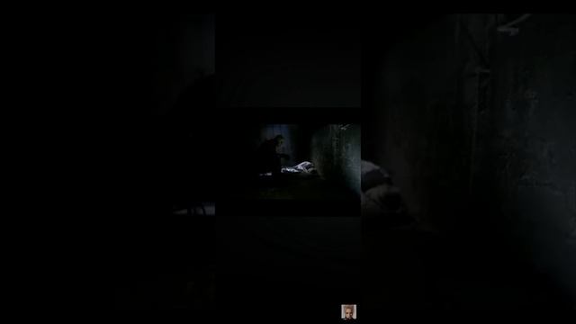 Вельвет стой!