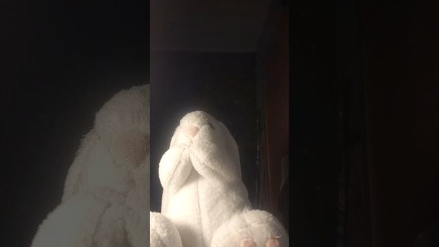 Почему животные шоу не выходят,Почему мы не захватываем канал этого пупсика?