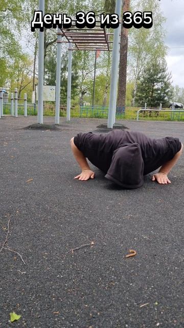 День 36 из 365