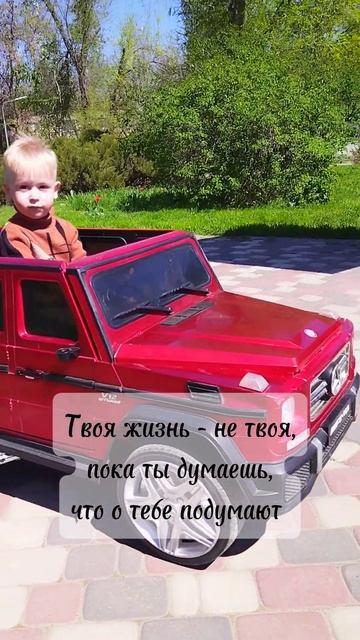 Жизнь