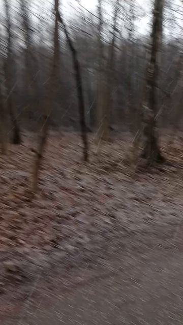1000216990.mp4