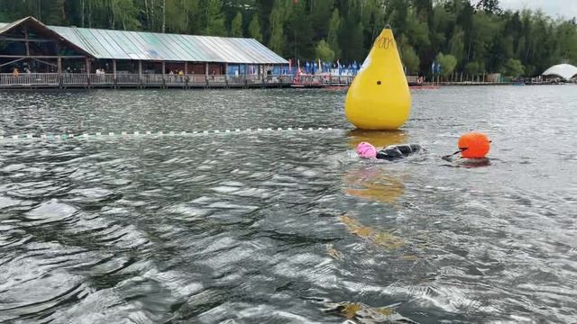 Эстафетная гонка по плаванию "Жирный пингвин", 18-05-2025
