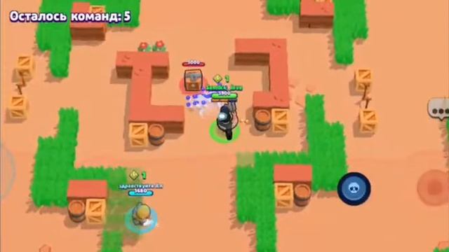 Играю бравл старс я нуб?/открыла сундук выбила 3 бравле