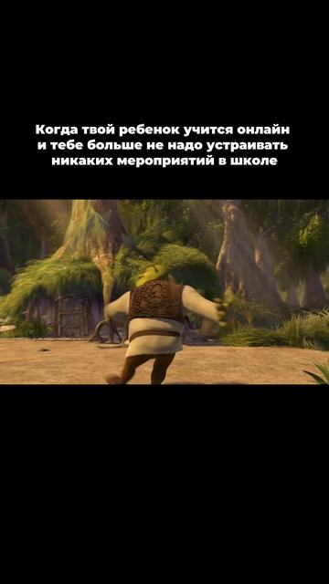 А мы пока радуемся, что в SHKOLA всё организуют кураторы 😉