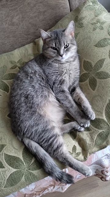 Посплю, может рыбка быстрее приготовится. Пахнет вкусно.