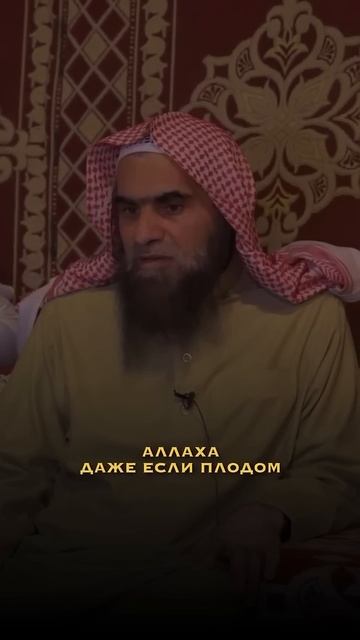подготовка встречи к Аллаху. Шейх Халид аль-Фулейдж