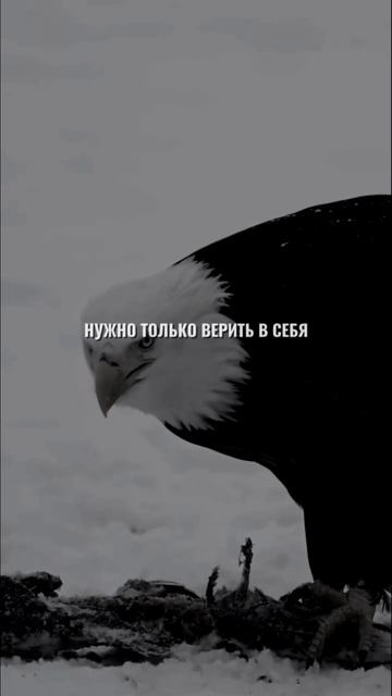 Чужое мнение на второй план🤫