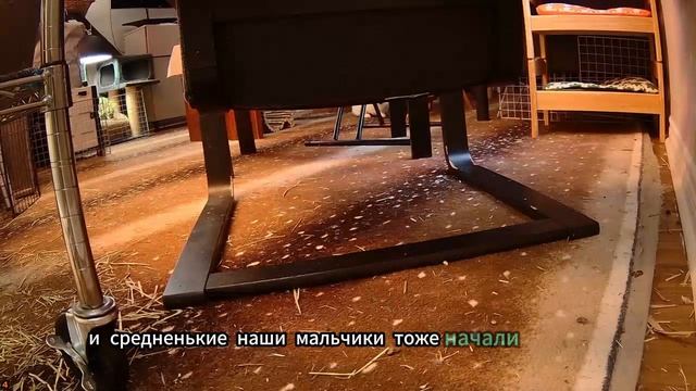 Детям нужны только деньги, остались одни никому не нуж