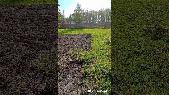 грядка