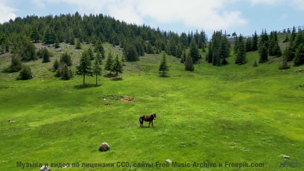 Лучшая музыка года - на фоне рая - Can Anybody Hear Me -- A Tape Full of Mistakes -- Dusts