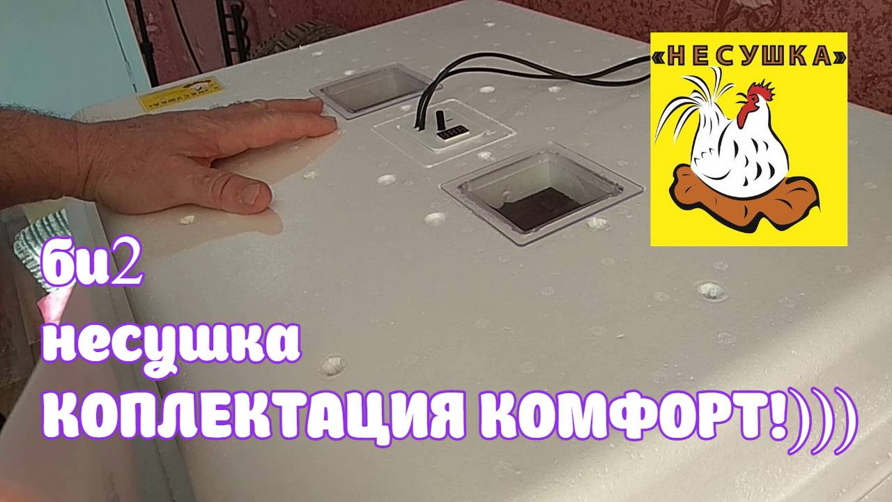 би 2 несушка. КОМПЛЕКТАЦИЯ КОМФОРТ!)))