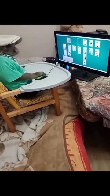 лучший в своем деле