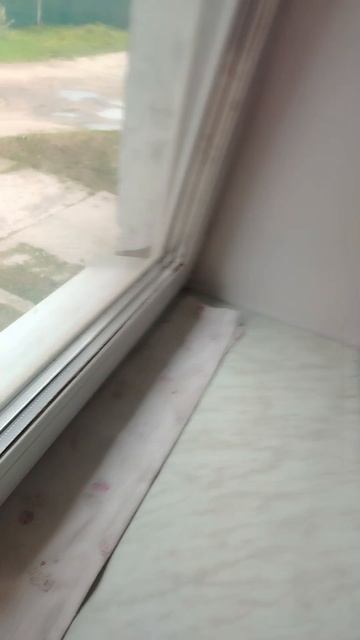 1000000425.mp4