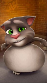 Говорящий ТОМ и Арбуз