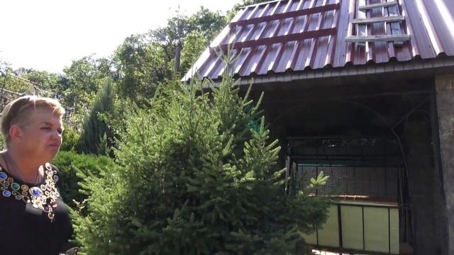 КОГДА НАЧИНАТЬ ПЕРЕСАДКУ РАСТЕНИЙ ОСЕНЬ.