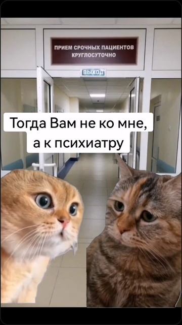 Пациент мотылёк