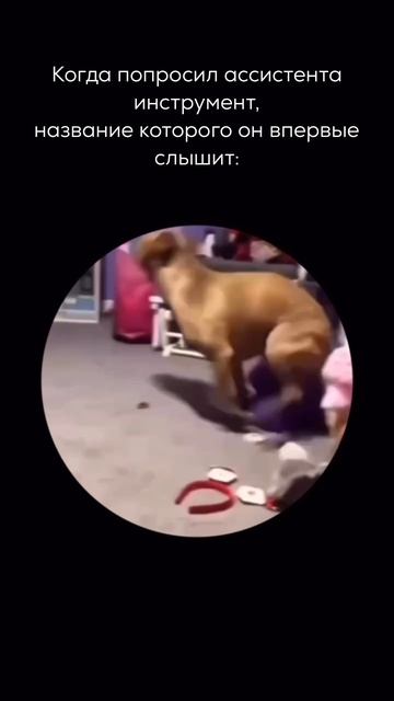 Когда попросил ассистента:
