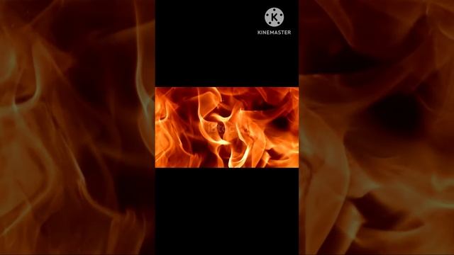 снова ночь снова день
