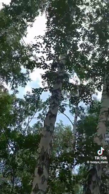 Красота русской природы