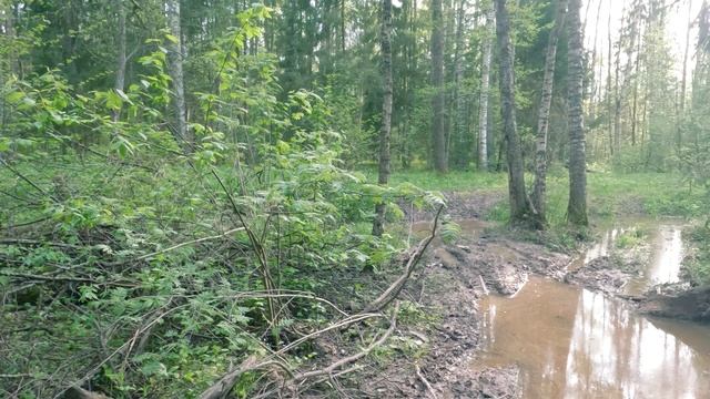 Аракчеевская бульварная дорога: прокатка маршрута